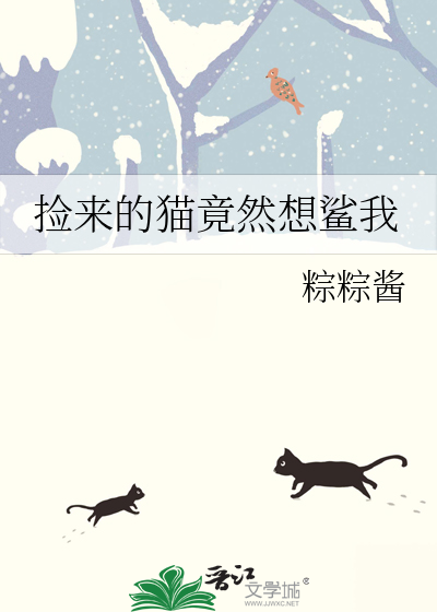 捡回来的猫咪叫什么名字