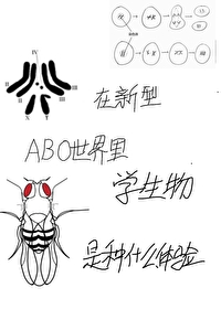 在新型ABO世界里学生物是种什么体验？